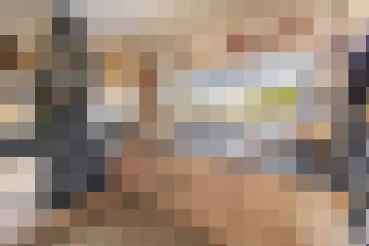Molenwegje 47 Maasbommel thumbnail 16