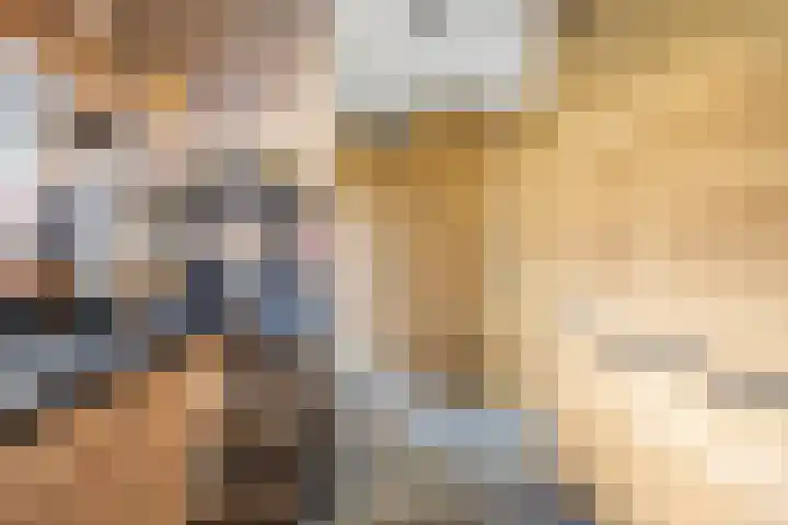 Molenwegje 47 Maasbommel thumbnail 18