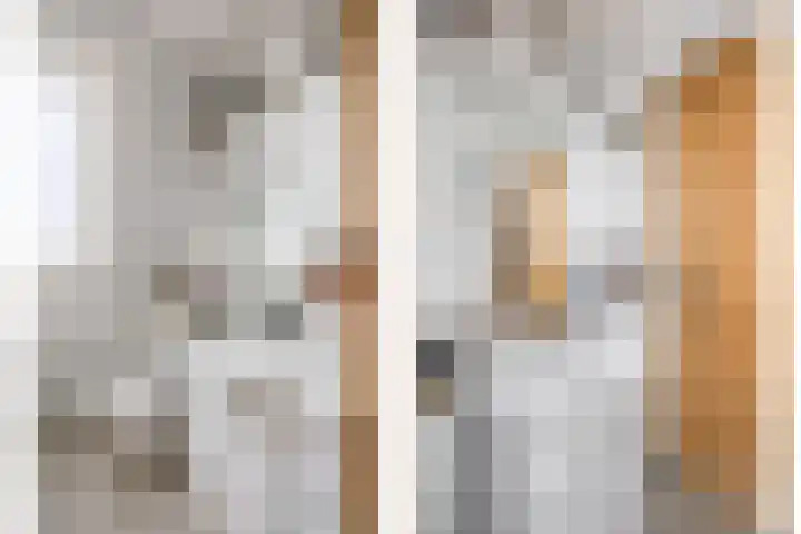 Molenwegje 47 Maasbommel thumbnail 21
