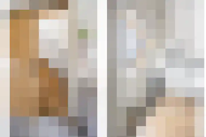 Molenwegje 47 Maasbommel thumbnail 22