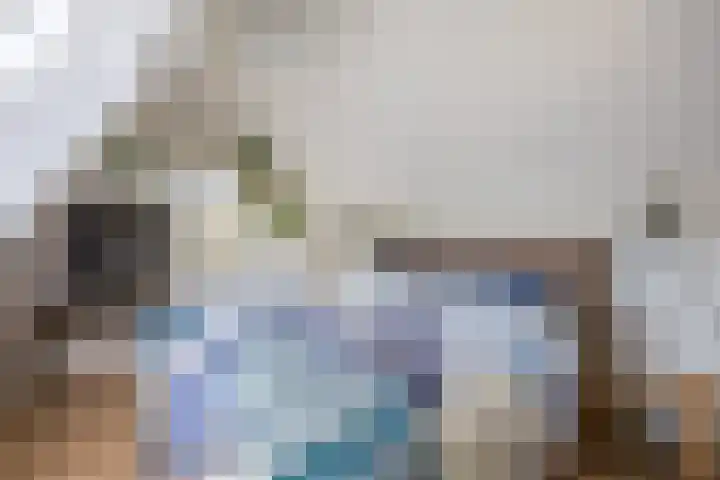Molenwegje 47 Maasbommel thumbnail 25