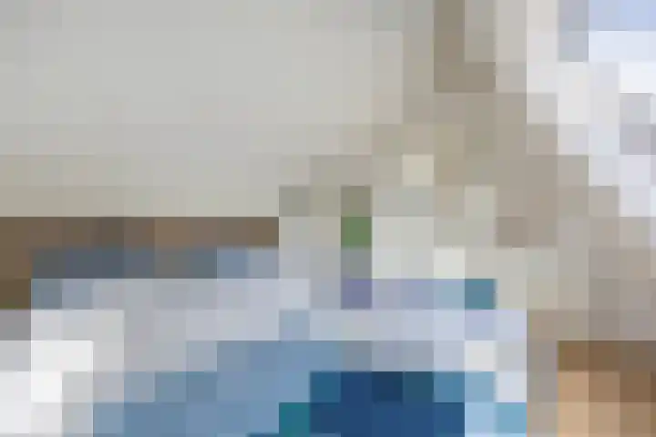 Molenwegje 47 Maasbommel thumbnail 26