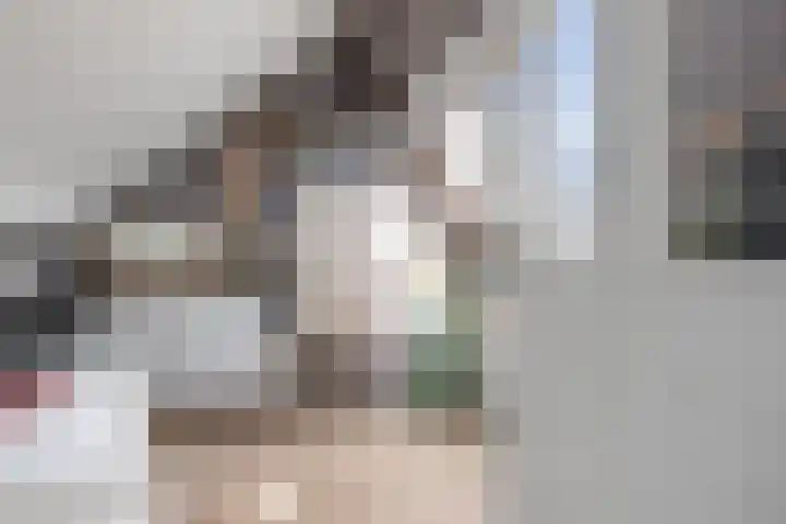 Molenwegje 47 Maasbommel thumbnail 27