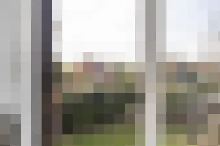 Molenwegje 47 Maasbommel thumbnail 28
