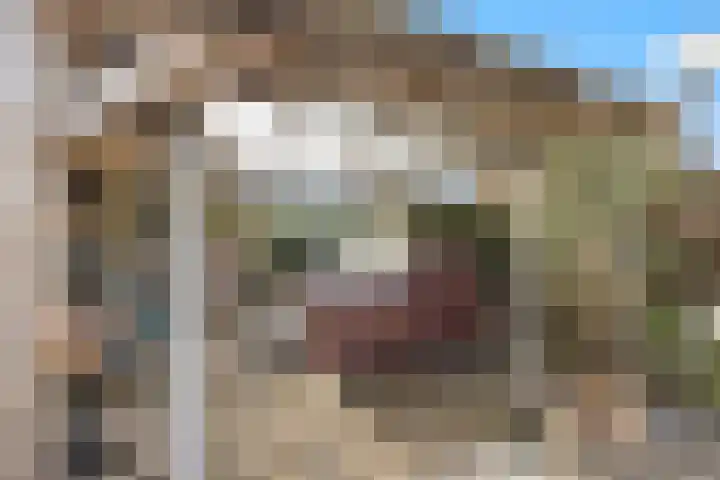 Molenwegje 47 Maasbommel thumbnail 29