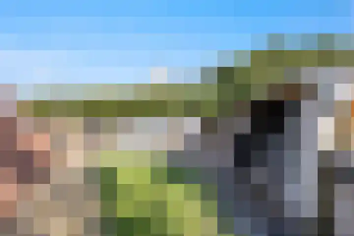 Molenwegje 47 Maasbommel thumbnail 30