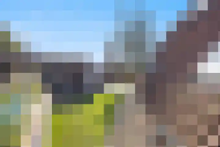 Molenwegje 47 Maasbommel thumbnail 32