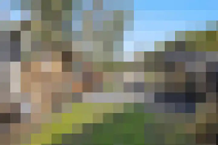 Molenwegje 47 Maasbommel thumbnail 33