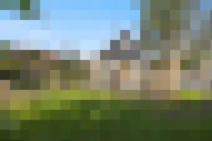 Molenwegje 47 Maasbommel thumbnail 34