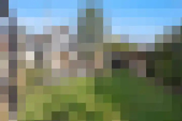 Molenwegje 47 Maasbommel thumbnail 35