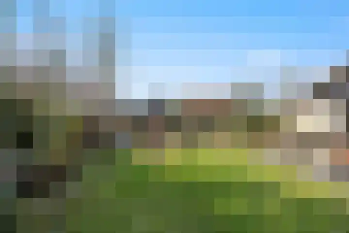 Molenwegje 47 Maasbommel thumbnail 36