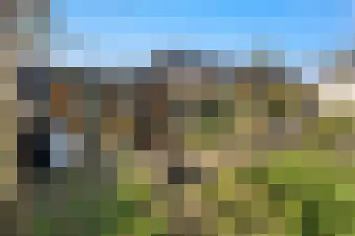 Molenwegje 47 Maasbommel thumbnail 37