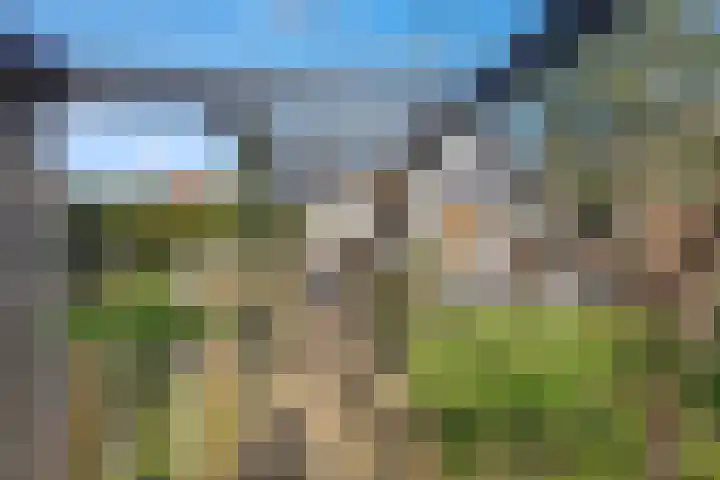 Molenwegje 47 Maasbommel thumbnail 39