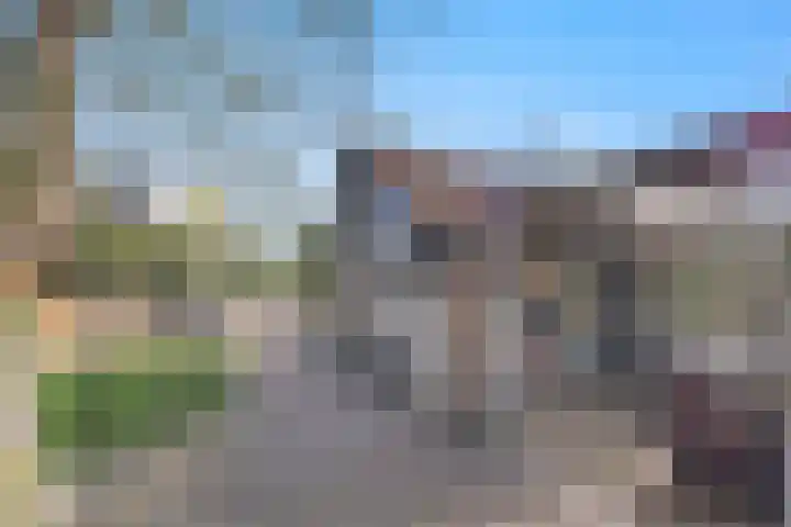 Molenwegje 47 Maasbommel thumbnail 40