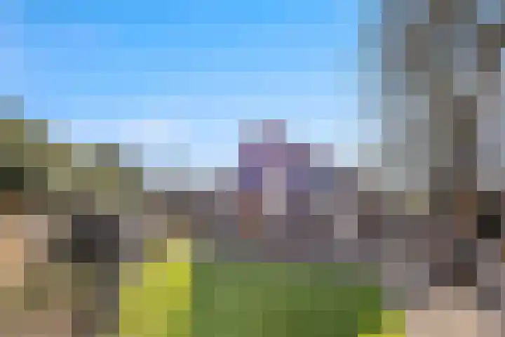 Molenwegje 47 Maasbommel thumbnail 41