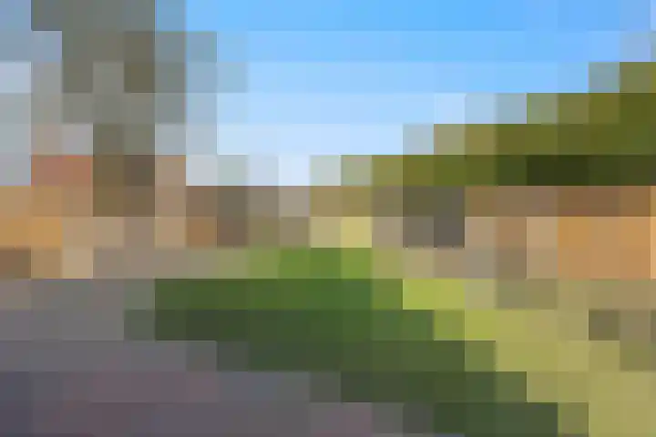 Molenwegje 47 Maasbommel thumbnail 43