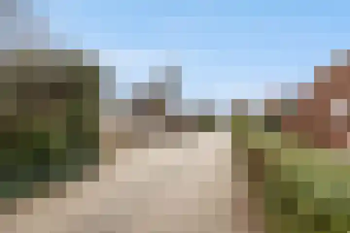 Molenwegje 47 Maasbommel thumbnail 44