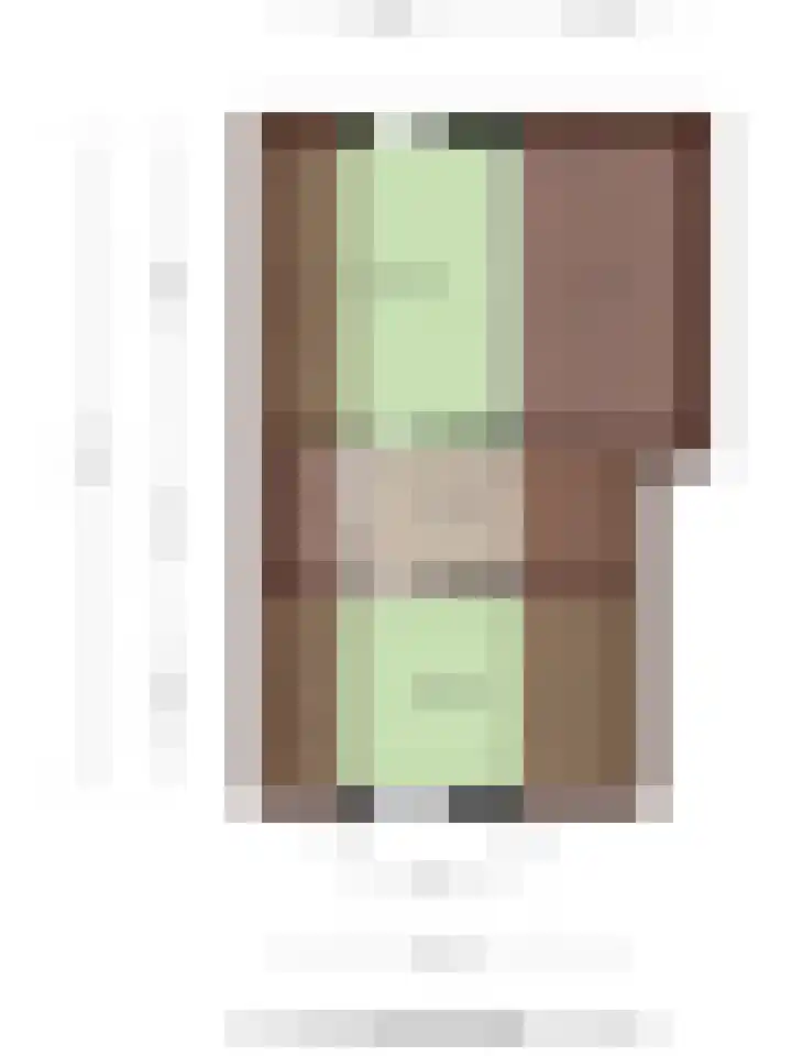 Molenwegje 47 Maasbommel thumbnail 49