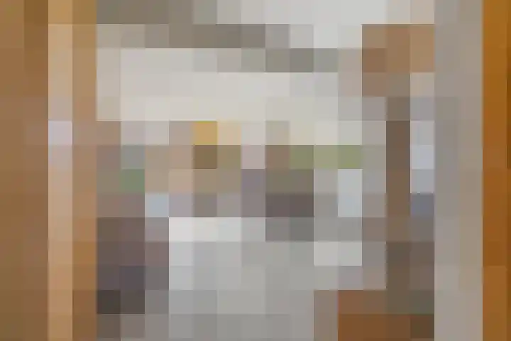 Molenwegje 47 Maasbommel thumbnail 5