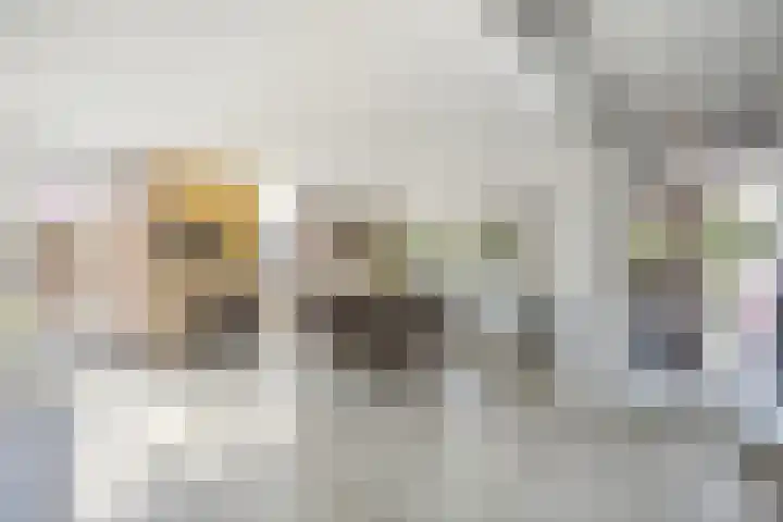 Molenwegje 47 Maasbommel thumbnail 6