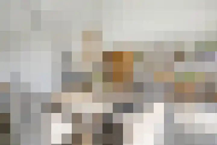 Molenwegje 47 Maasbommel thumbnail 9