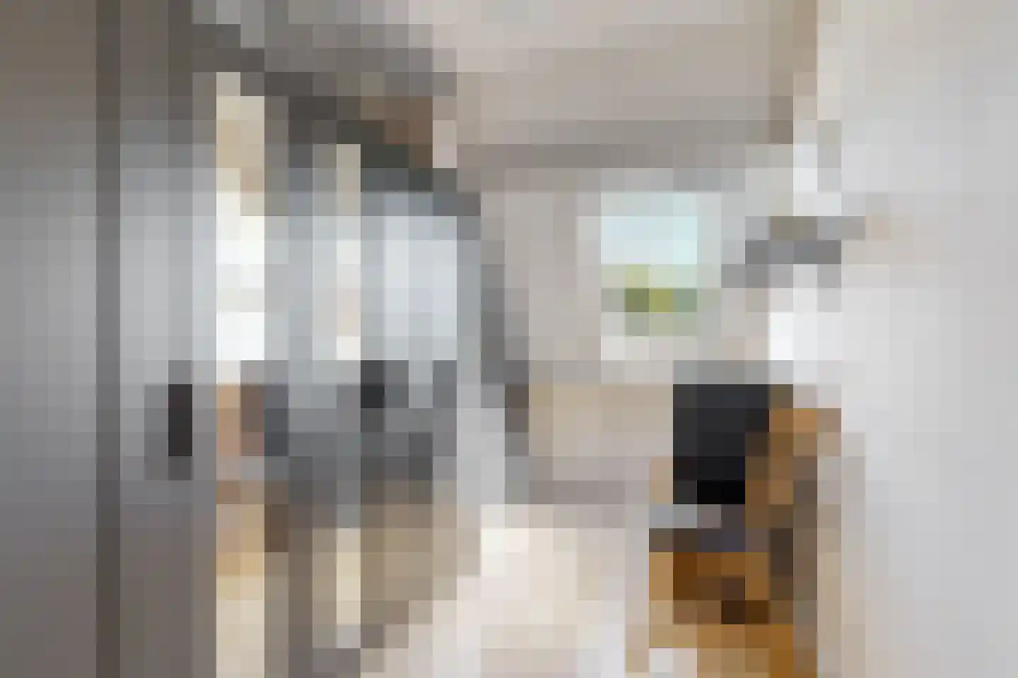 Molenwei 34 Hoogkarspel thumbnail 17