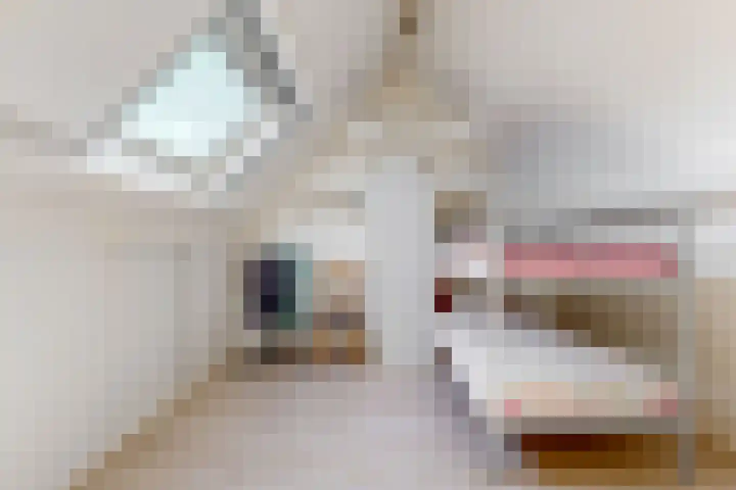 Molenwei 34 Hoogkarspel thumbnail 23