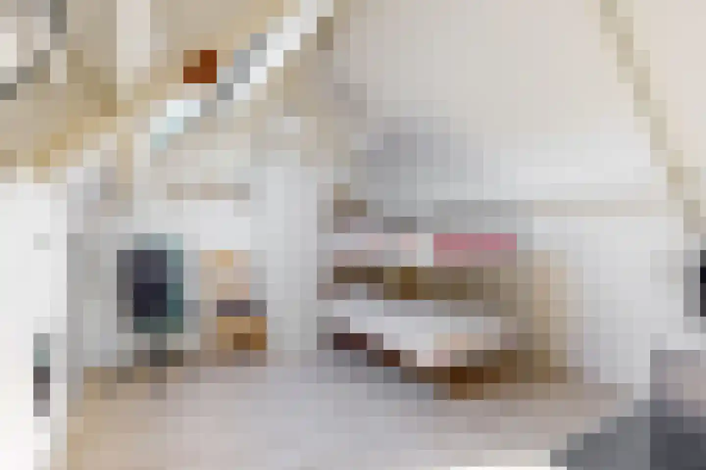 Molenwei 34 Hoogkarspel thumbnail 24