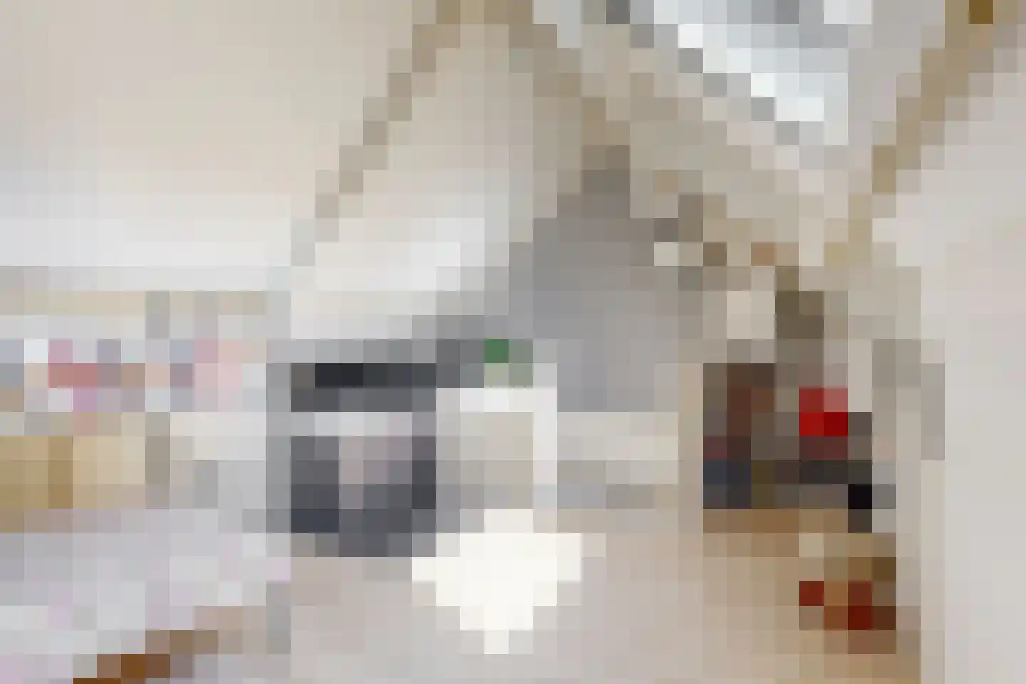 Molenwei 34 Hoogkarspel thumbnail 25