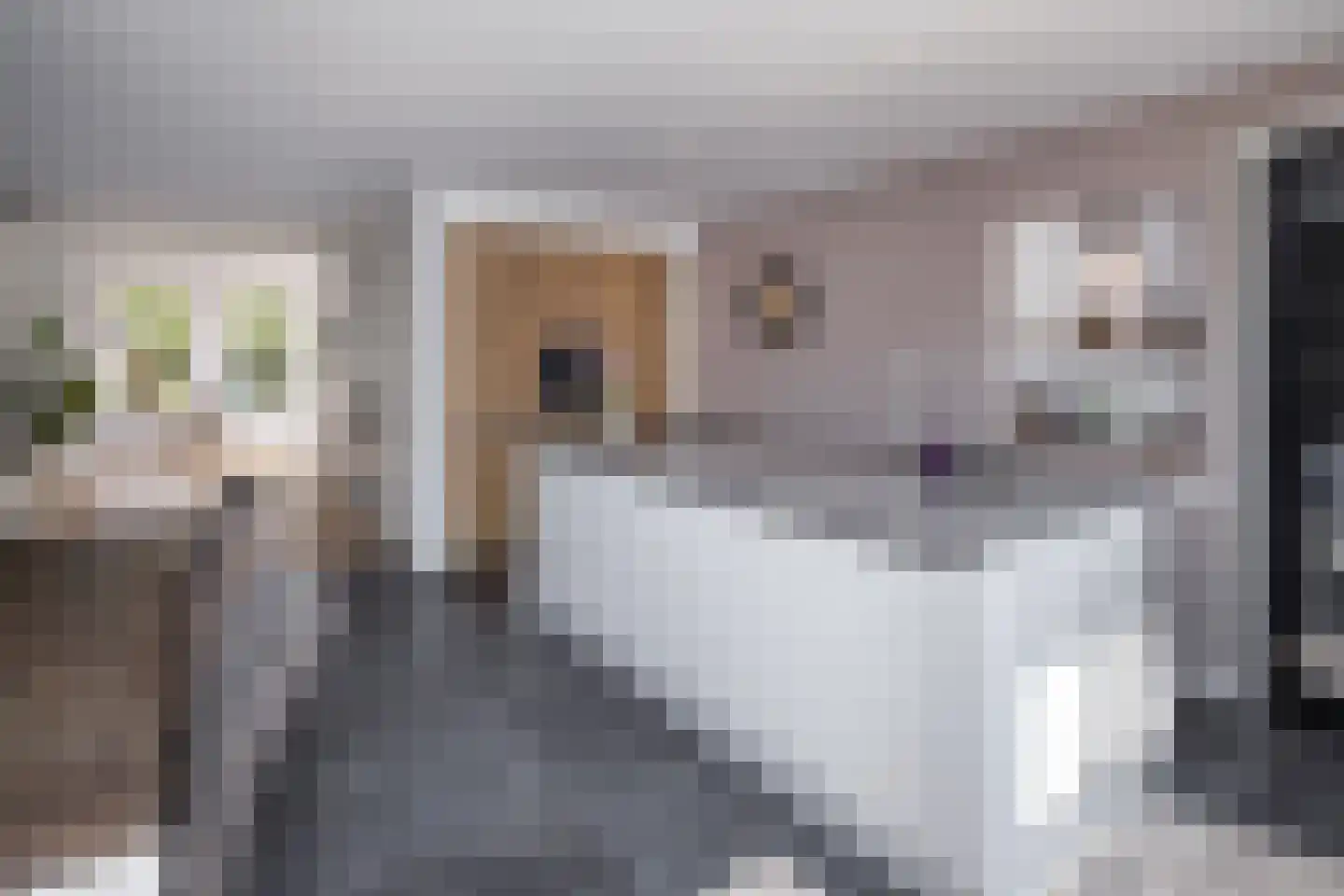 Molenwei 43 Hoogkarspel thumbnail 12