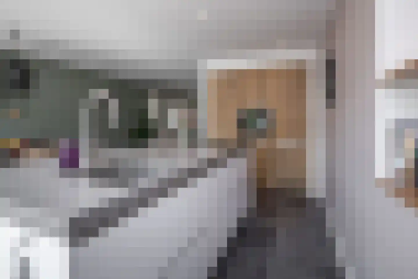 Molenwei 43 Hoogkarspel thumbnail 13