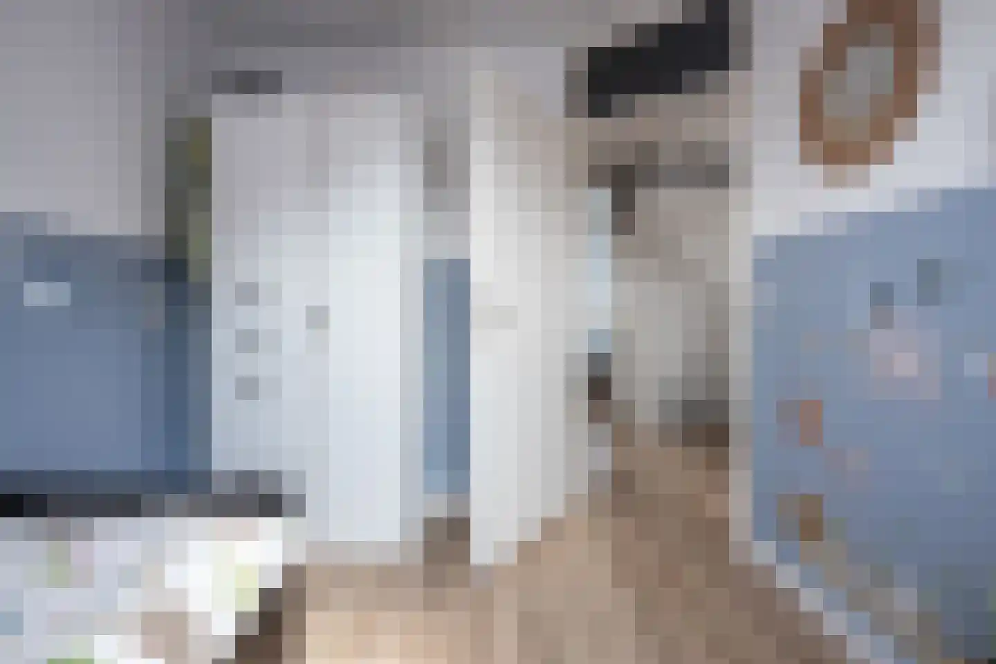 Molenwei 43 Hoogkarspel thumbnail 22
