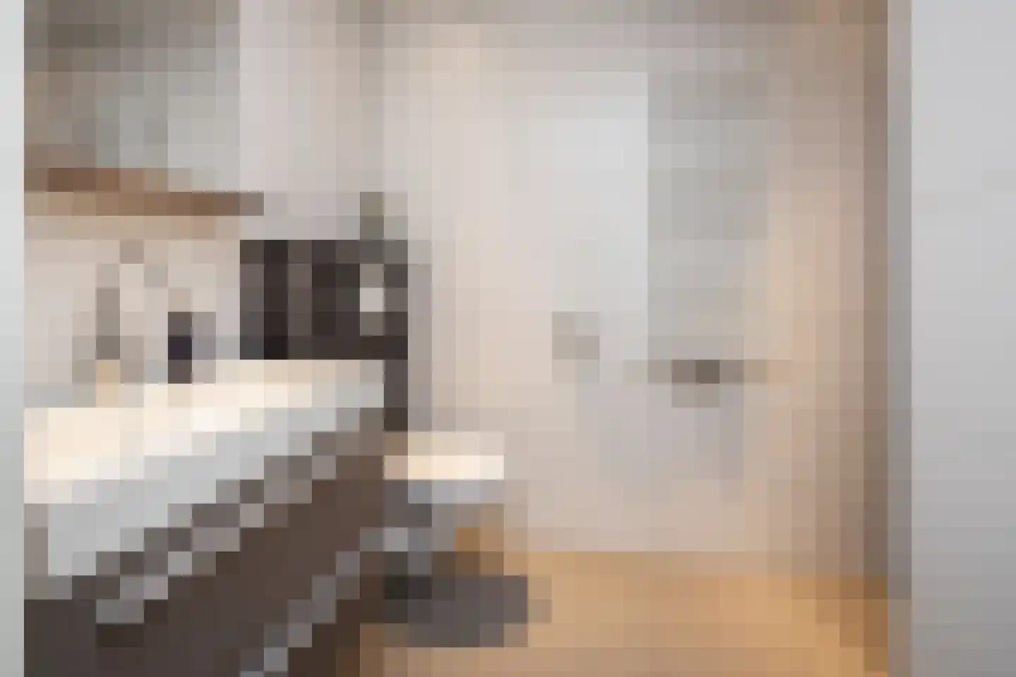Molenwei 43 Hoogkarspel thumbnail 23