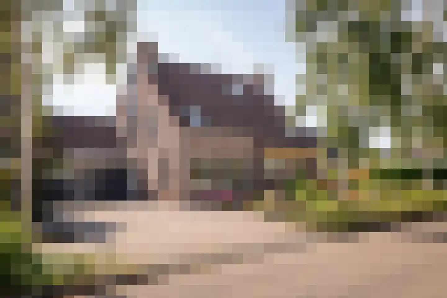 Molenwei 43 Hoogkarspel thumbnail 39