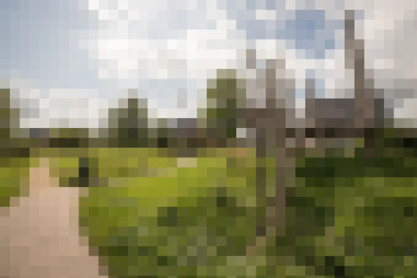Molenwei 43 Hoogkarspel thumbnail 54