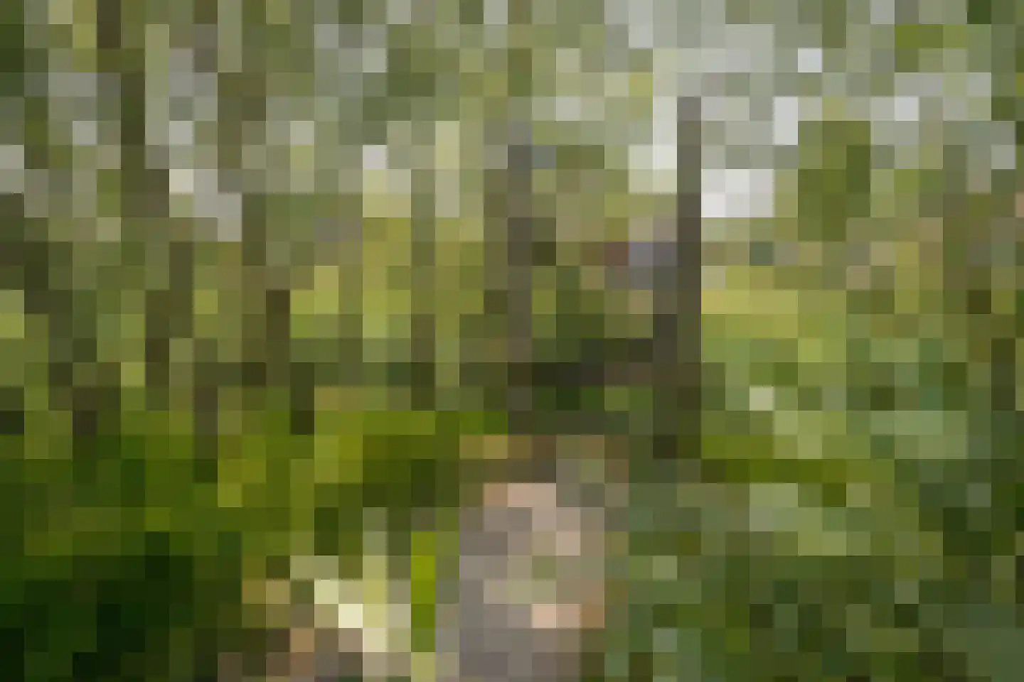 Molenwei 43 Hoogkarspel thumbnail 56