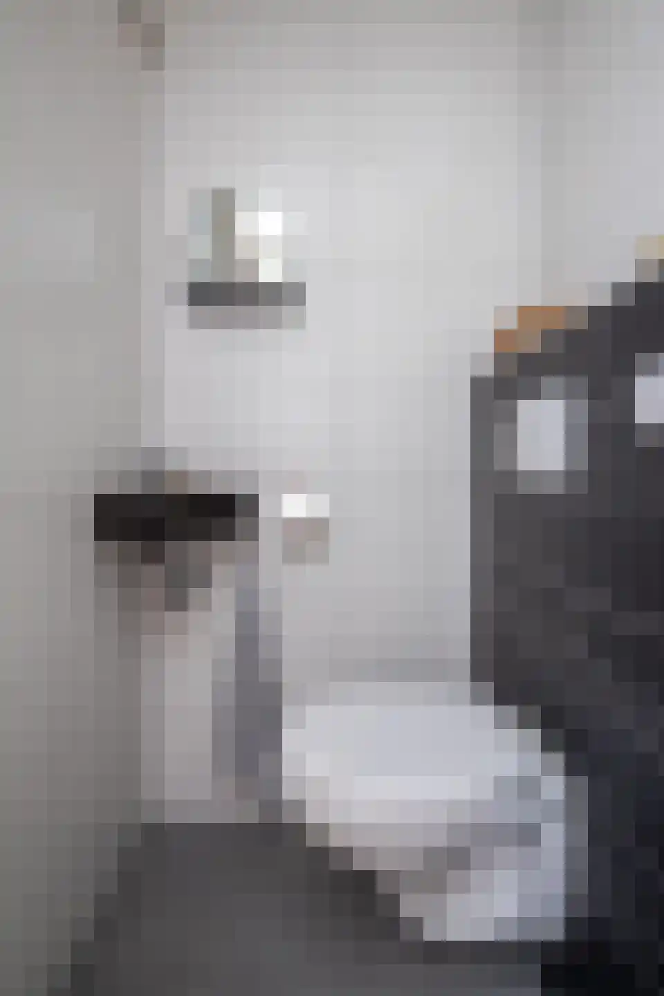 Molenwei 43 Hoogkarspel thumbnail 61