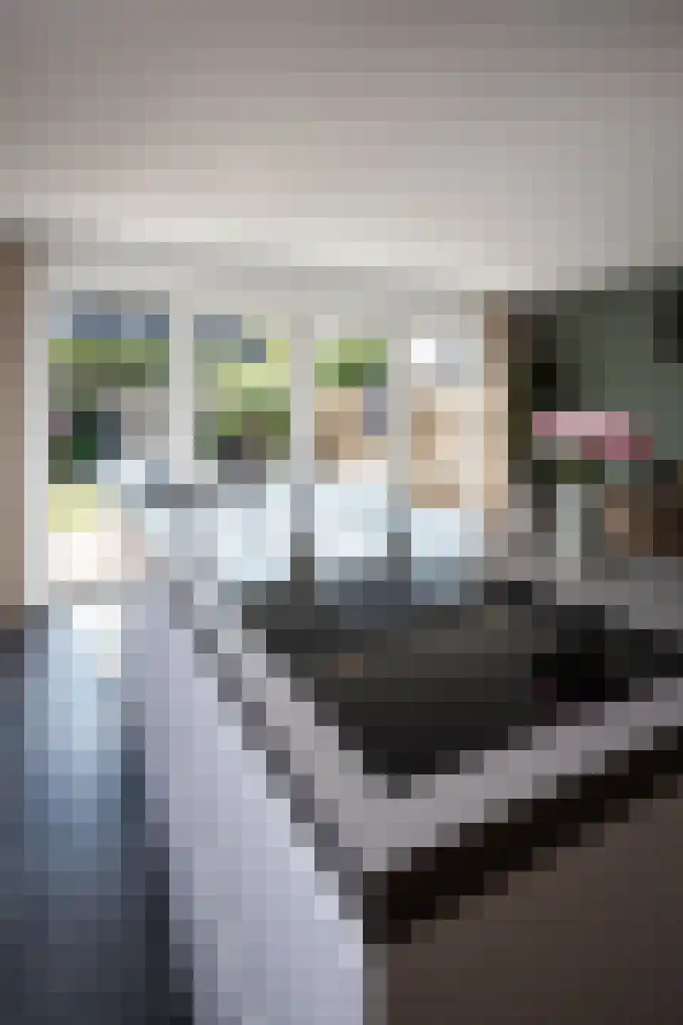 Molenwei 43 Hoogkarspel thumbnail 62