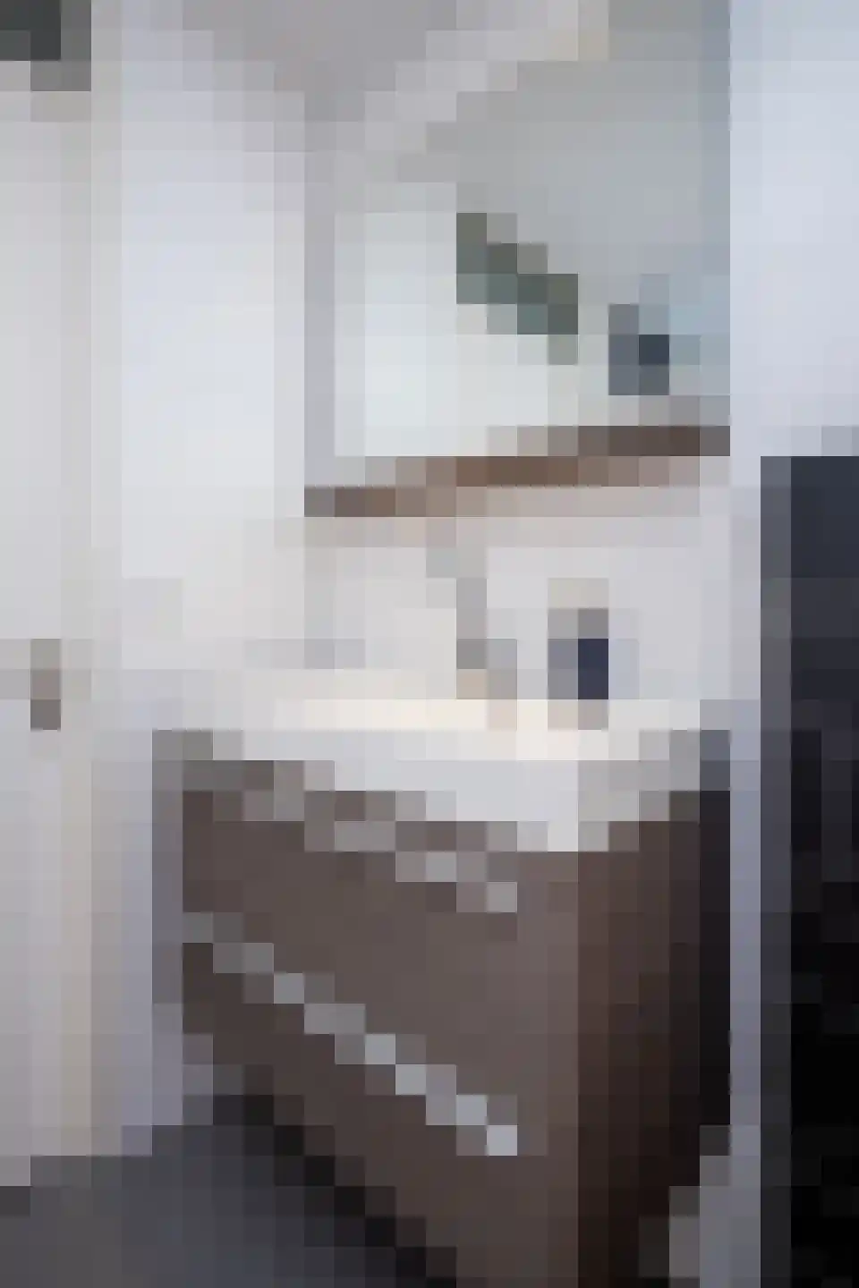 Molenwei 43 Hoogkarspel thumbnail 64