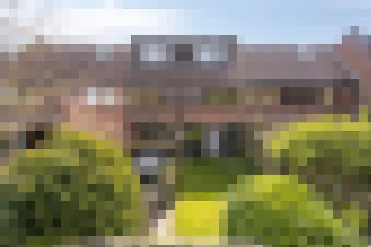 Molenweide 10 Castricum thumbnail 17