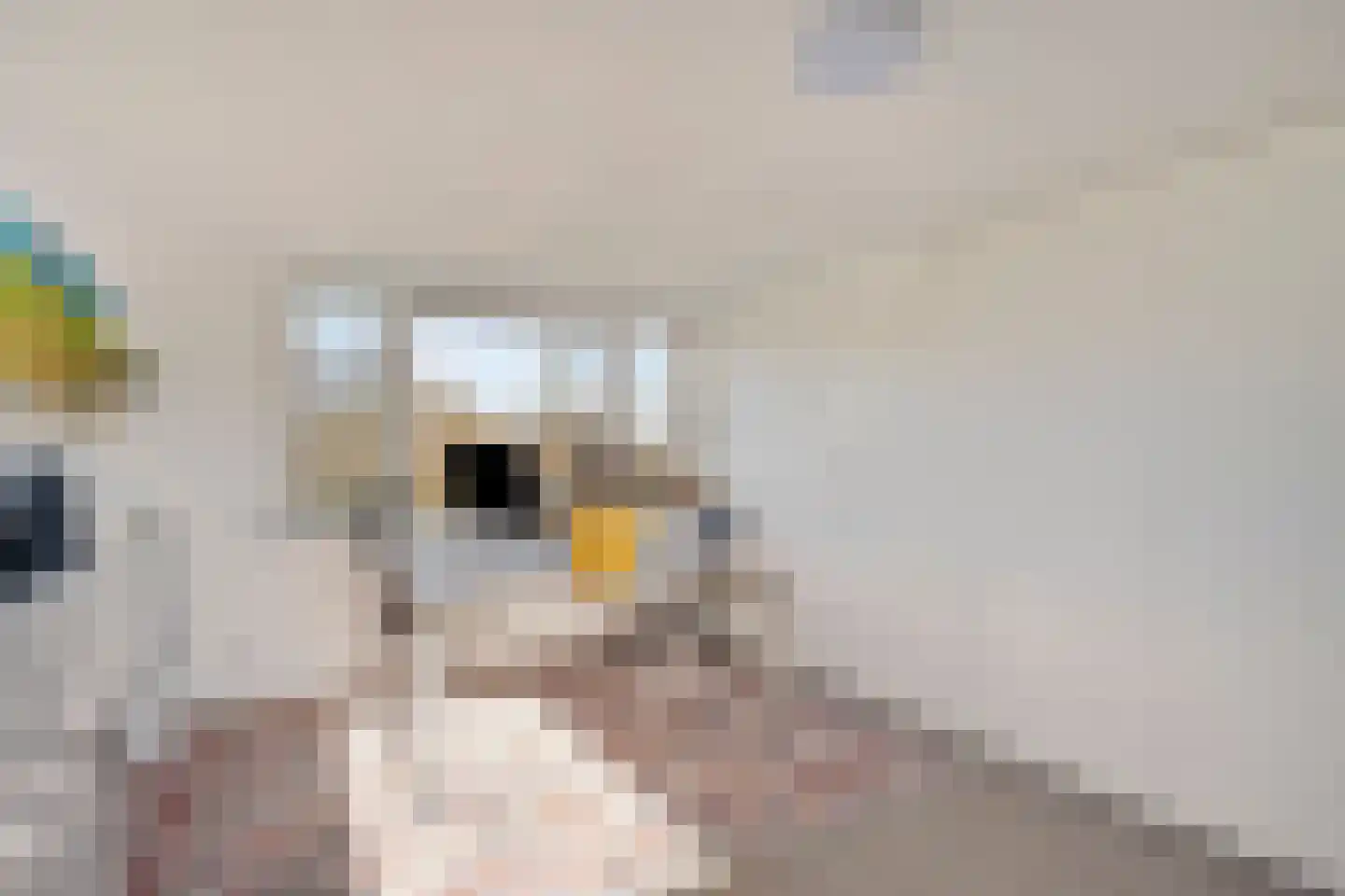 Molenweide 10 Castricum thumbnail 30