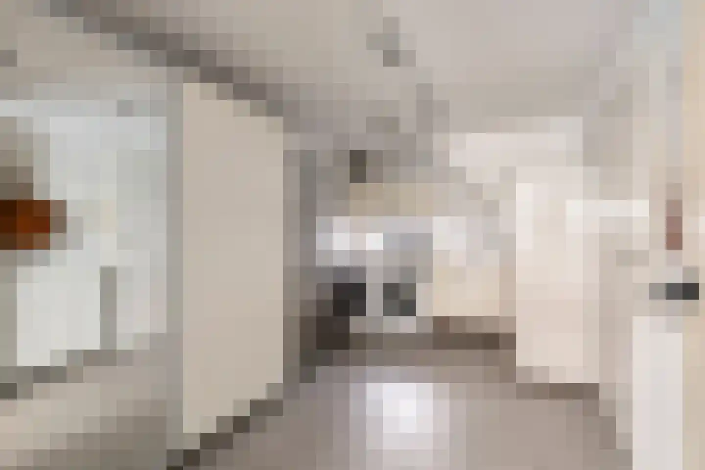 Molenweide 10 Castricum thumbnail 33