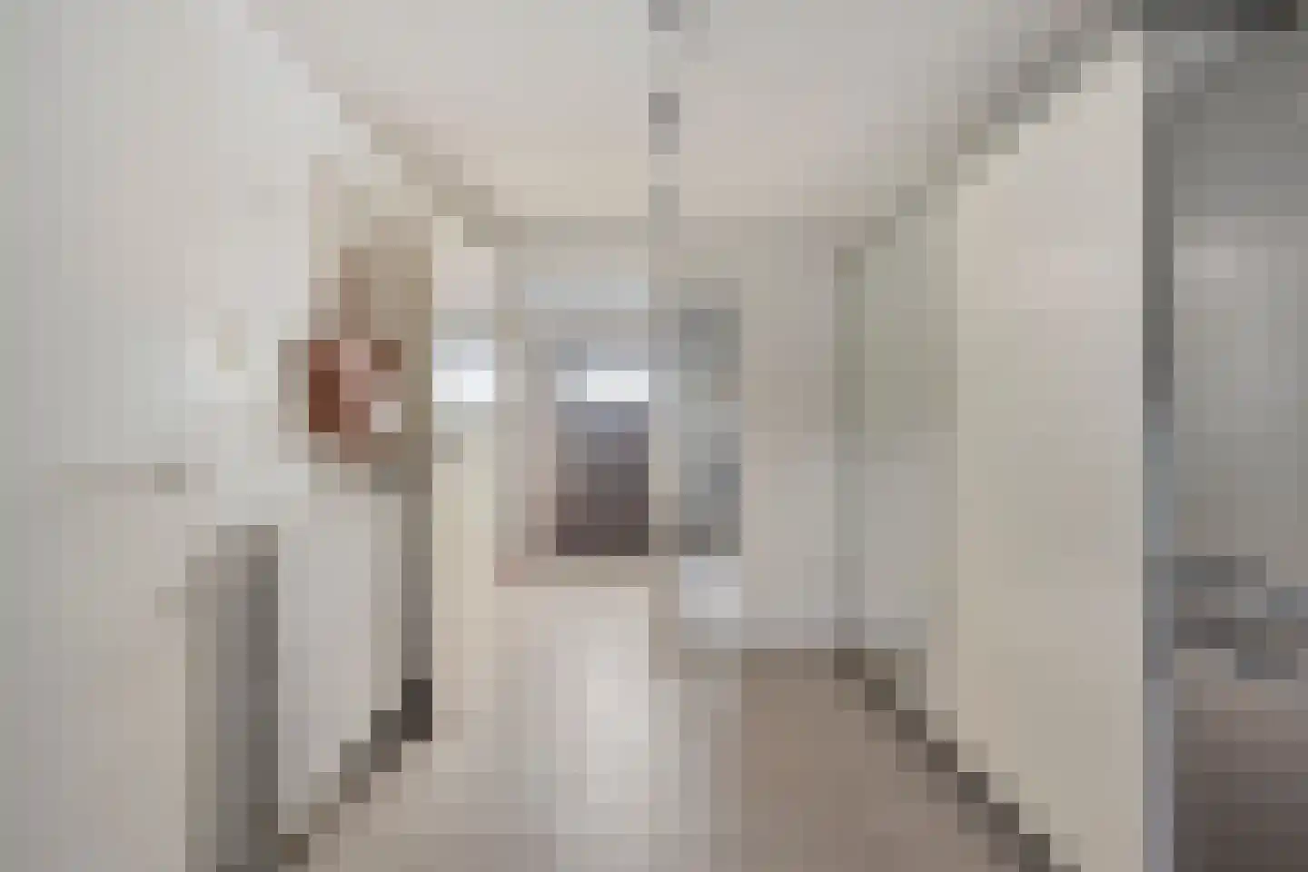 Molenweide 10 Castricum thumbnail 34