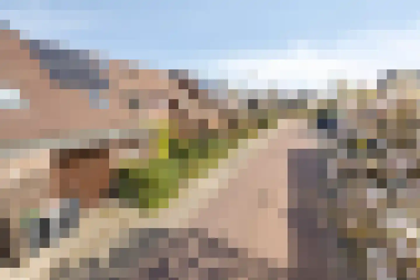 Molenweide 10 Castricum thumbnail 38