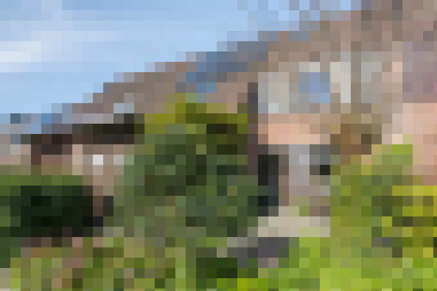 Molenweide 10 Castricum thumbnail 41