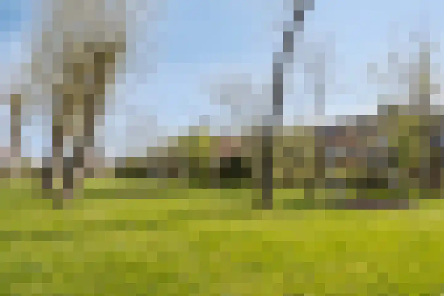 Molenweide 10 Castricum thumbnail 42