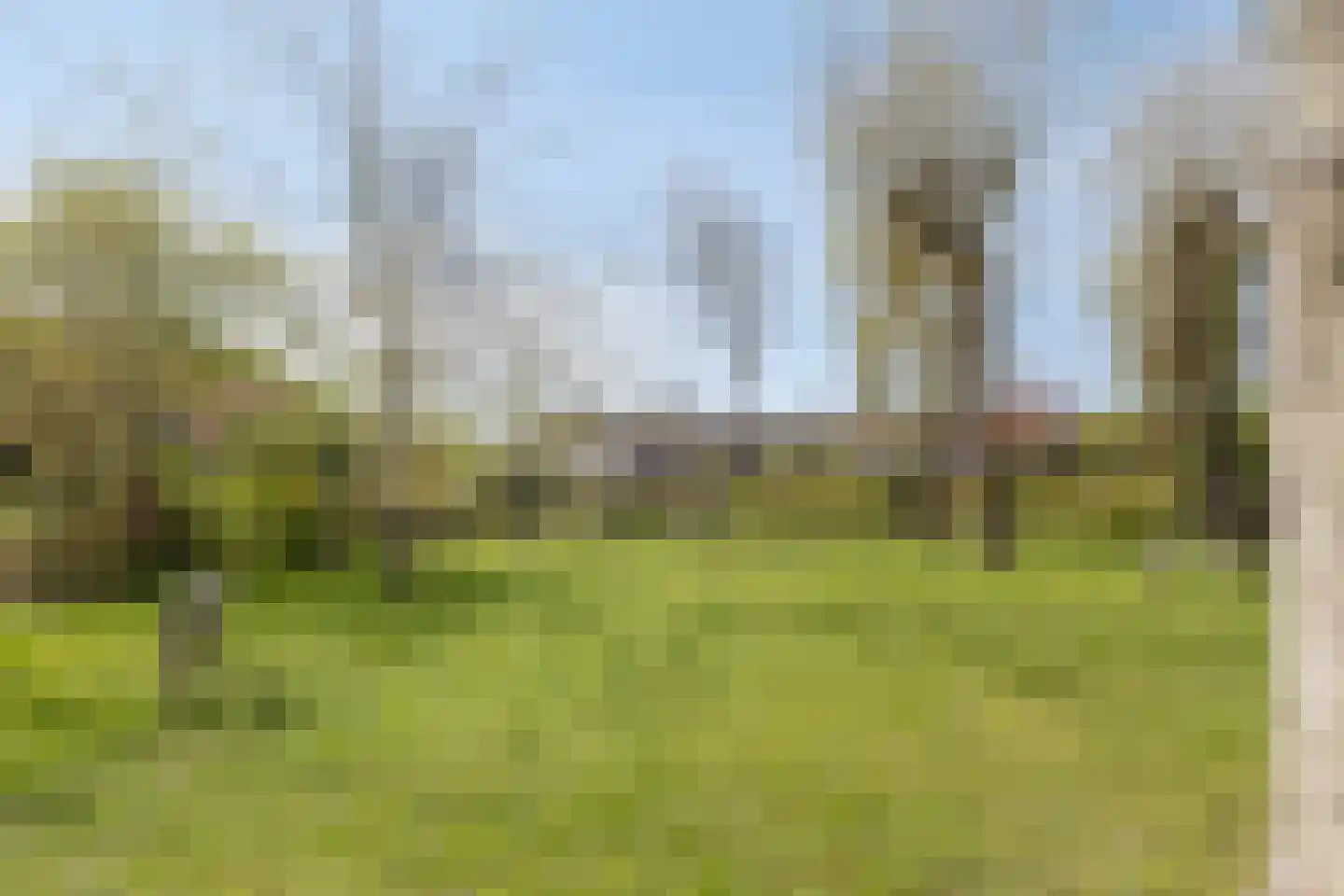 Molenweide 10 Castricum thumbnail 43