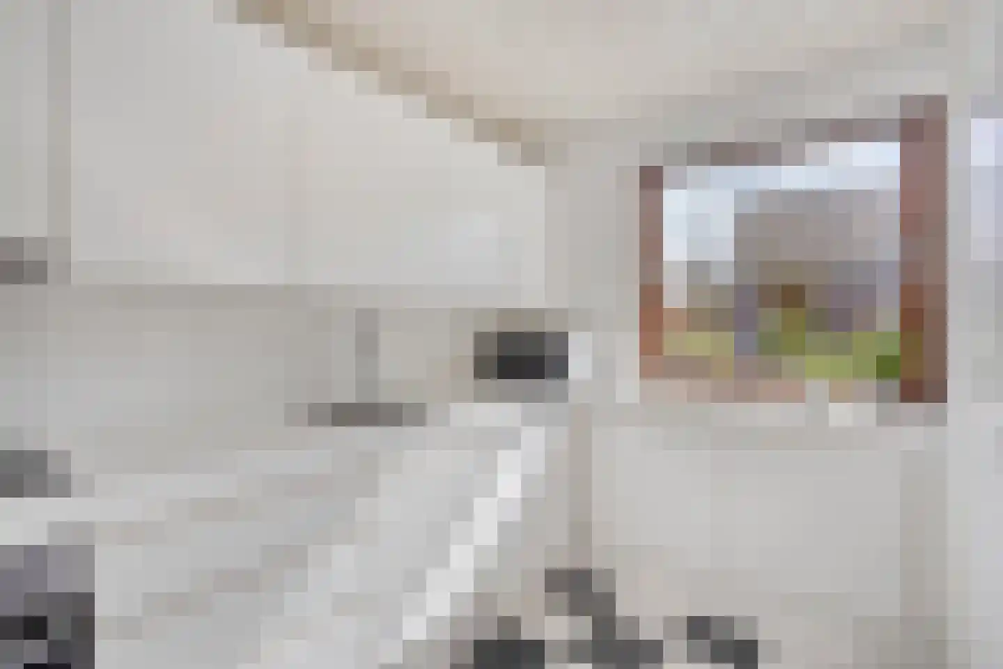 Molenweide 10 Castricum thumbnail 5