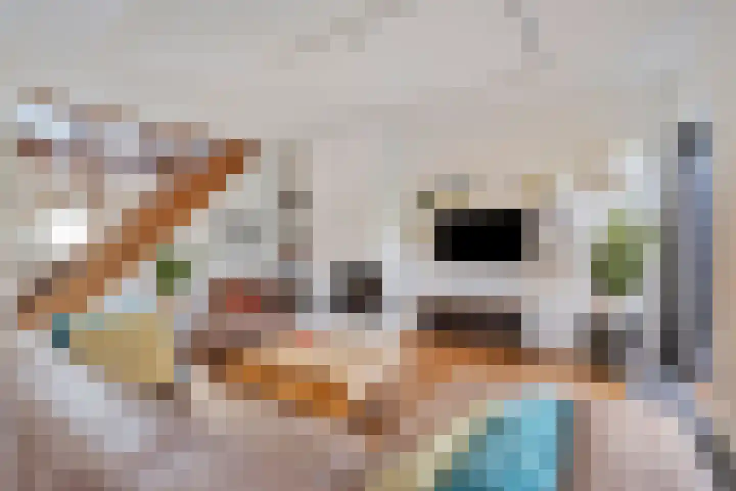 Molenweide 10 Castricum thumbnail 6
