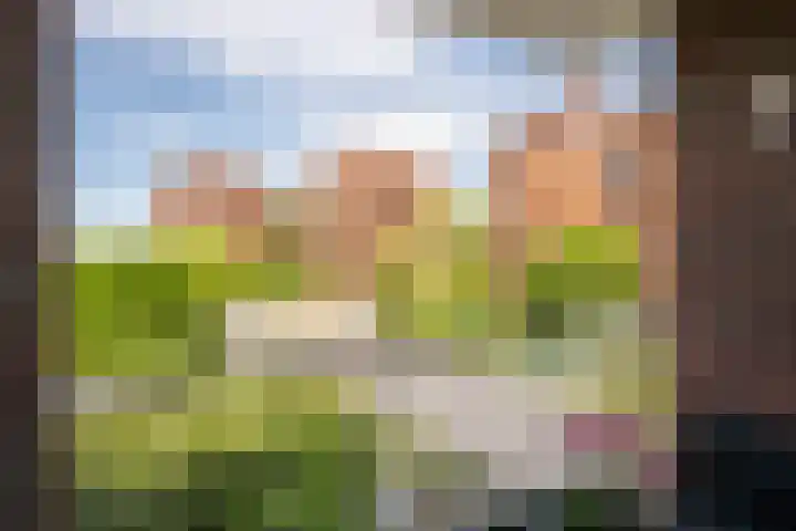 Molenweide 11 Delft thumbnail 19